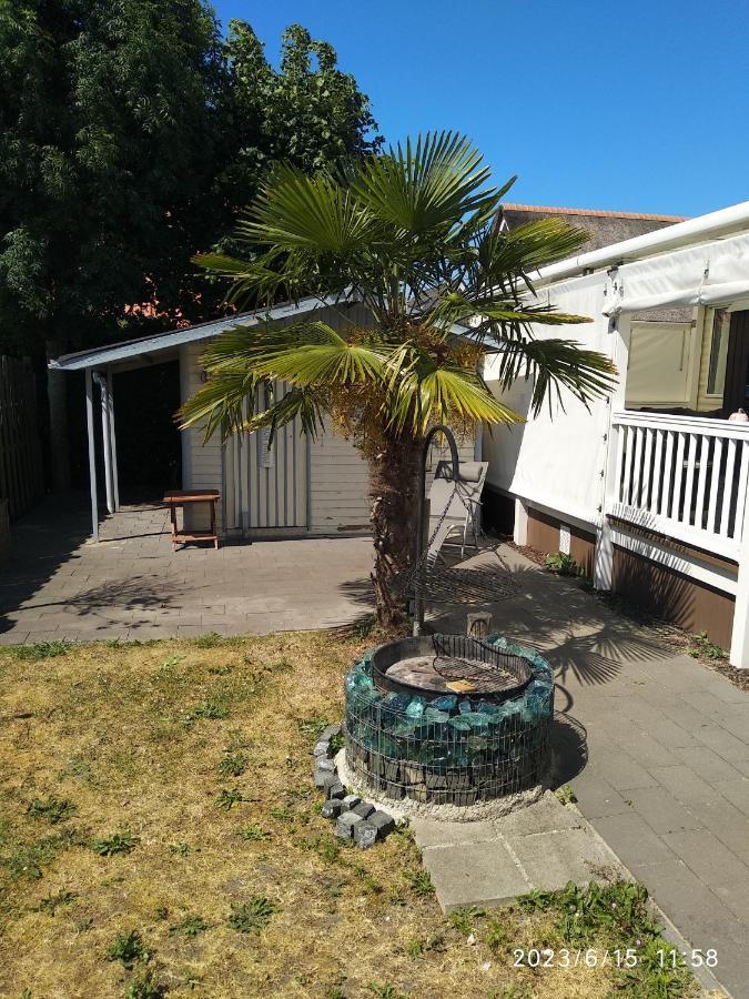 Beach Resort Nieuwvliet Bad - Nv 102 Zewnętrze zdjęcie